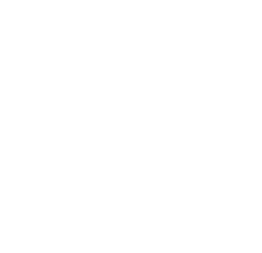 logo main